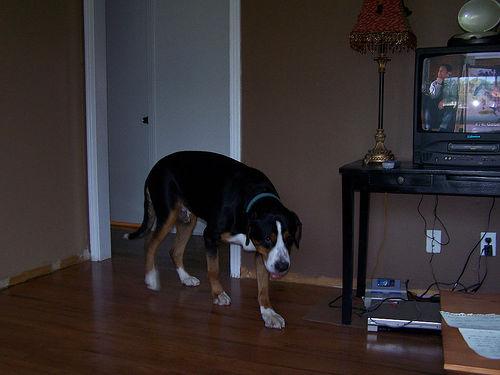 Losloopgebied Enkhuizen